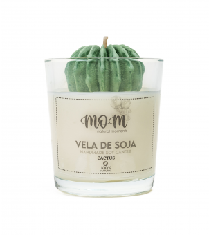 Vela de soja - Cactus