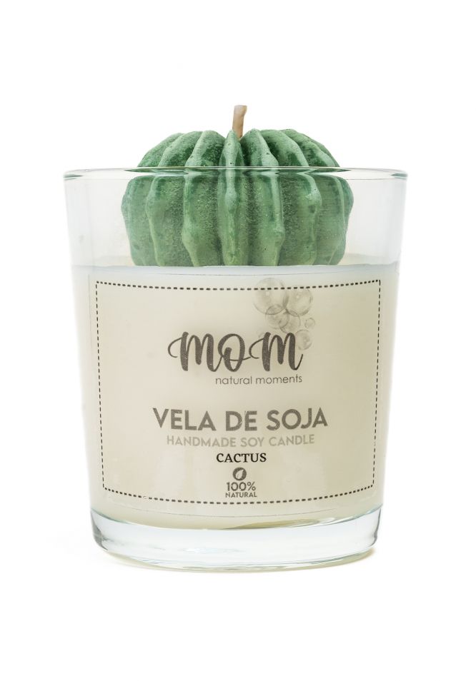 Vela de soja - Cactus